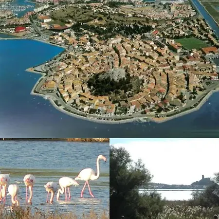 De A La Dans Securisee * Gruissan